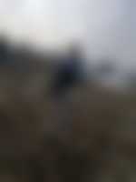 صورة العضو