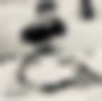 صورة العضو