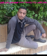 صورة العضو