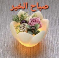 صورة العضو