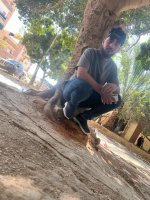 صورة العضو