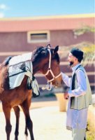 موقع زواج