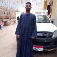 صورة العضو