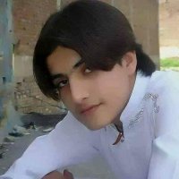 صورة العضو